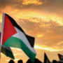 Uno sciopero e una flotta per Gaza