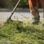 Cessione ramo d’azienda nella Cooperativa CFT a Pontedera